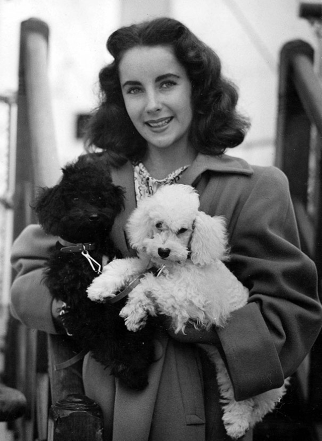 vintage celebs with pets (1)