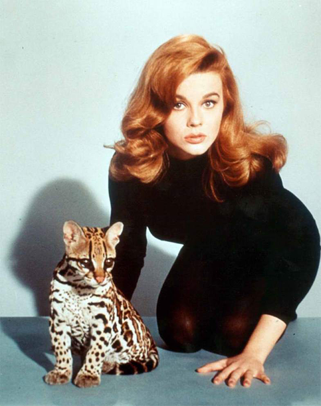 vintage celebs with pets (11)