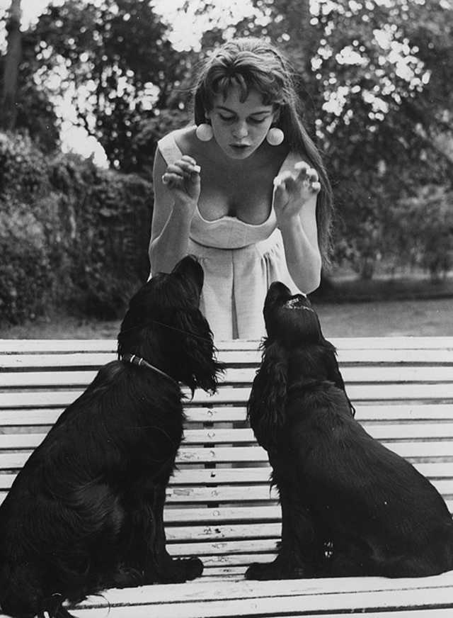 vintage celebs with pets (2)