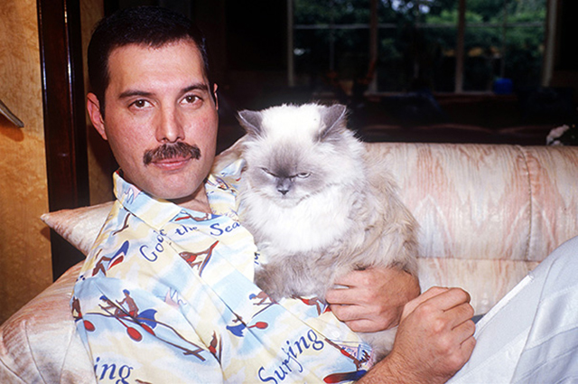 vintage celebs with pets (33)