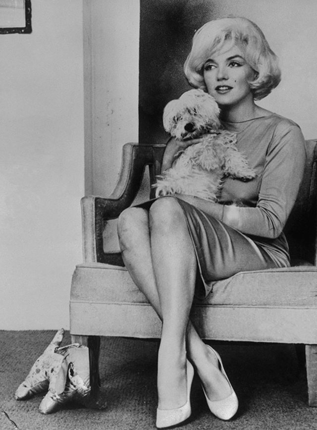 vintage celebs with pets (6)