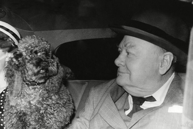 vintage celebs with pets (7)